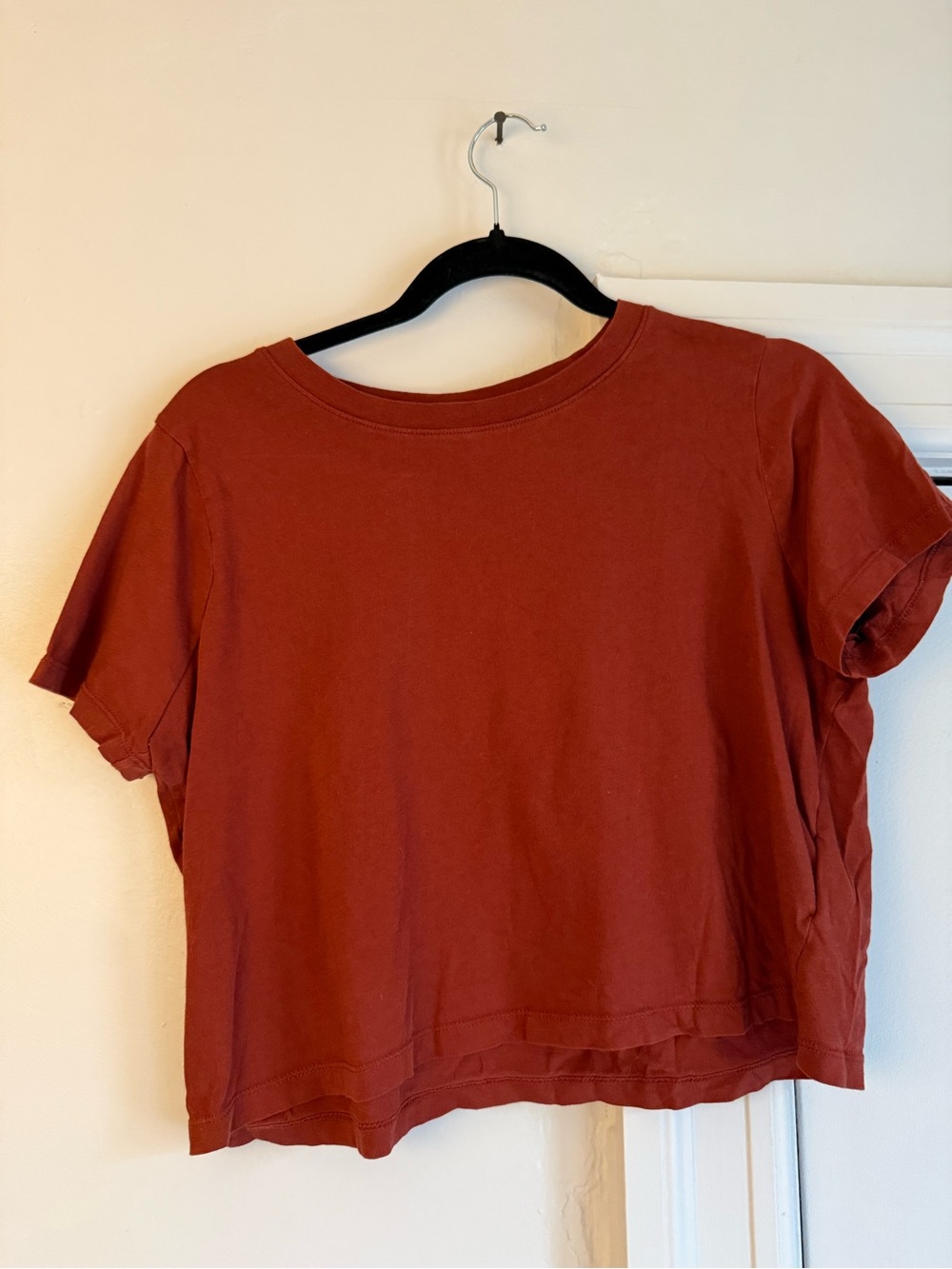 Madewell Rust Crop Tee in Deep Terracotta